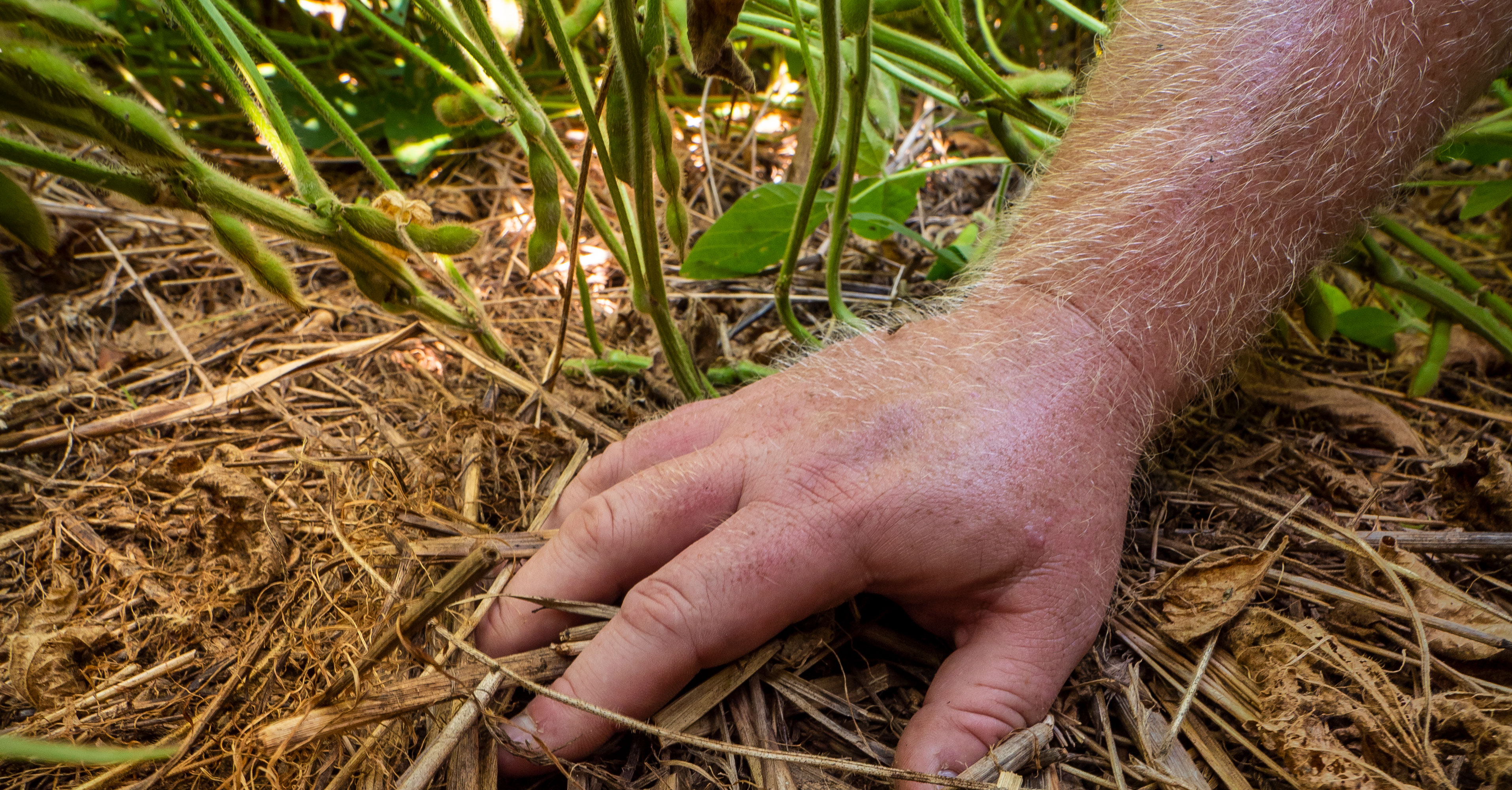 carbon-sequestration-terraton-initiative